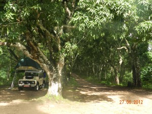 Mount Klouto Trailhead